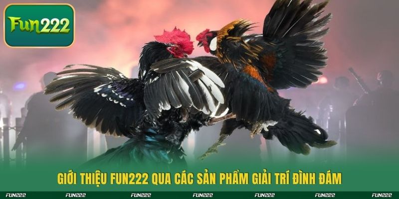 Giới thiệu Fun222 qua các sản phẩm giải trí đình đám